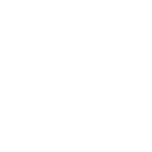 Out of the Woods Strategies white logo
